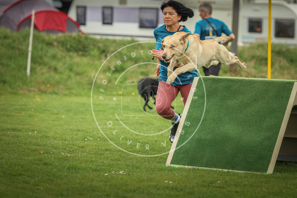 Pfotenfotografie_0L8A0675 | Hundefotografie, Tierfotograf, Pfotenfotografie, Fotoshooting Hund, Hunde Portrait, Hundesport, Hundeportraits, Heideshooting, Hunde, Sportfotograf, Hundefotograf, Turnierhundsport, THS,  - Realisiert mit Pictrs.com