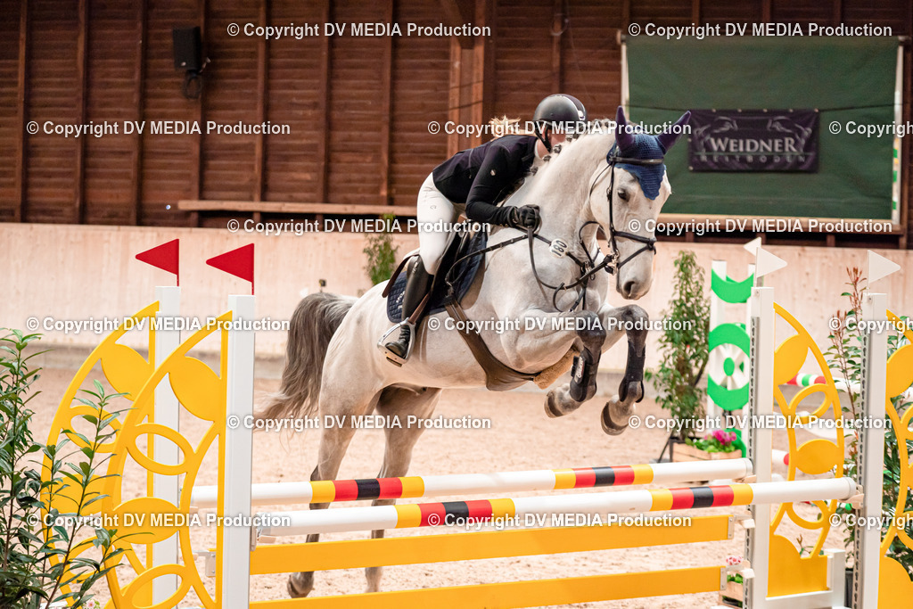 Springen Tag 1-42 | dv-media-shop - Realisiert mit Pictrs.com