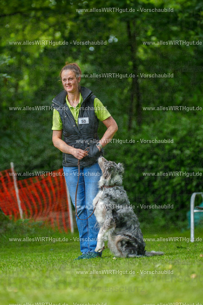 @allesWIRTHgut_Tierfotografie - www.allesWIRTHgut.de - 7R505841 | Professionelle Tierfotografie in Mönchengladbach von Daniel Wirth (allesWIRTHgut). Liebevolle & natürliche Bilder von Hunden & Katzen für unvergessliche Erinnerungen.