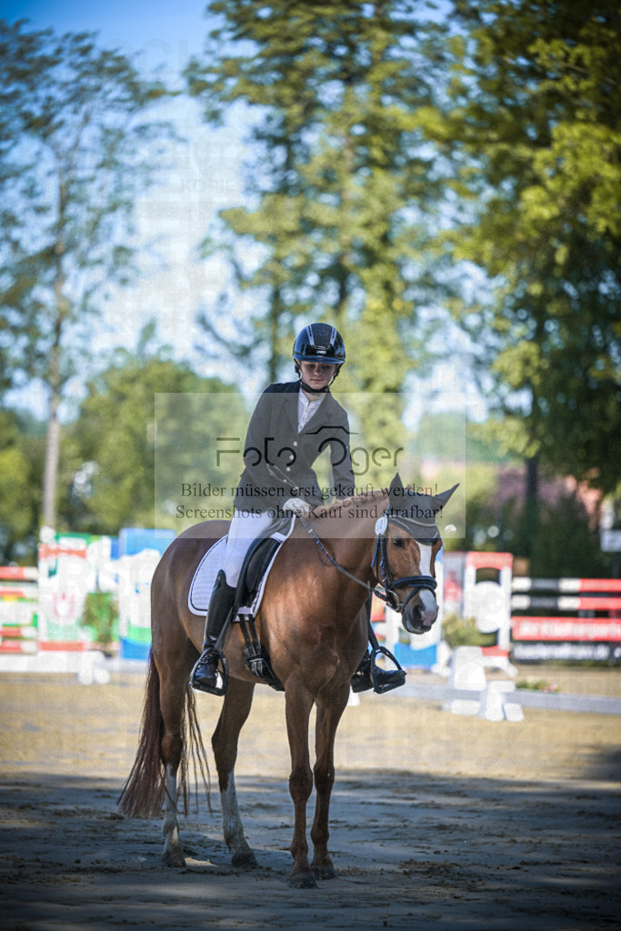 DOS_3527 | Entdecke hochwertige Reitturnierfotos von Foto Oger. Professionell, emotional und authentisch – jetzt Lieblingsmomente im Shop bestellen.Deutschlandweite Turnierfotografie. - Realisiert mit Pictrs.com