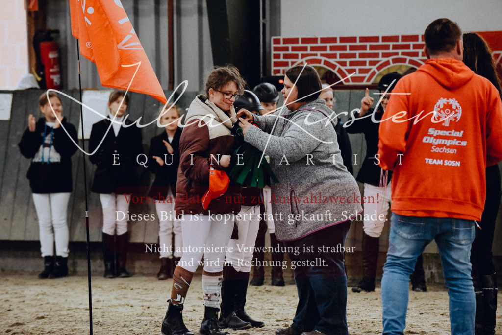 DSC_7016 | Pferde- und Turnierfotografie in Westsachsen. Pferdeportraits, Auftragszeichnungen und intuitive Kunst.