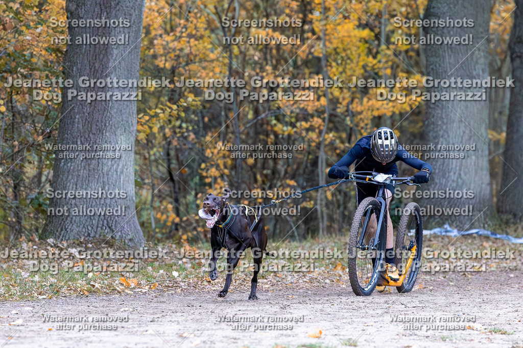 Dog Paparazzi - SD CaniX Championship 2025-169 | Dog Paparazzi Jeanette Grottendiek Fotografie & Videografie - Realisiert mit Pictrs.com