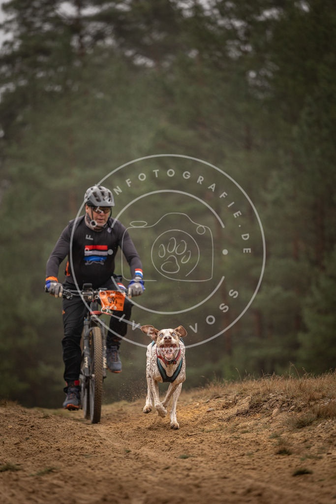 Pfotenfotografie_DV3A3036 | Hundefotografie, Tierfotograf, Pfotenfotografie, Fotoshooting Hund, Hunde Portrait, Hundesport, Hundeportraits, Heideshooting, Hunde, Sportfotograf, Hundefotograf, Turnierhundsport, THS,  - Realisiert mit Pictrs.com