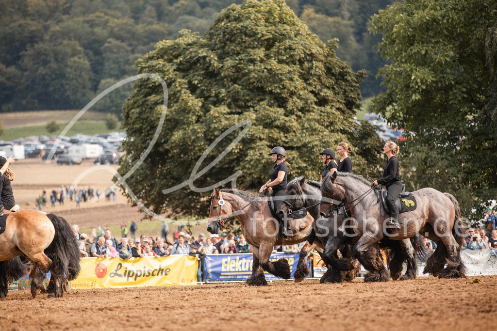 846A4141 | fotosleben - Realisiert mit Pictrs.com