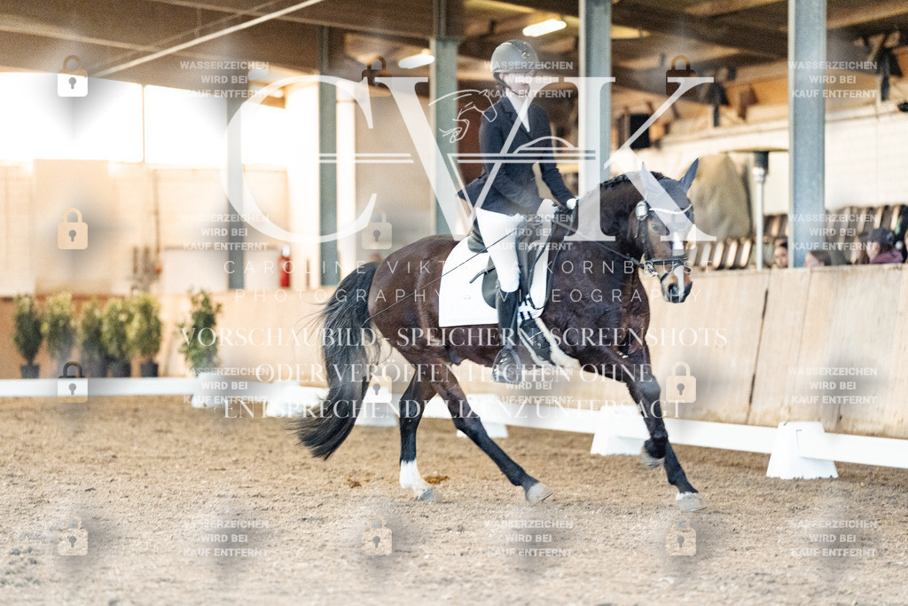 CK906986 | Turnierfotografie Pferdefotografie Trier Rheinland-Pfalz Pferdesport Reitsport Tierfotografie Sportfotografie Pferdevideo Pferdevideografie Equestrianvideography equestrianphotography  - Realisiert mit Pictrs.com