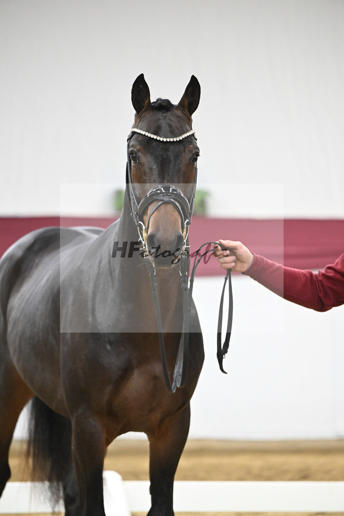 Kat-Nr. 46 Zenetti x Ritz Carlton_Udo Kast_47251618 | hf-fotografie - Realisiert mit Pictrs.com