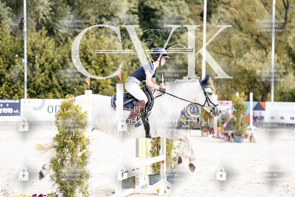 CK906197 | Turnierfotografie Pferdefotografie Trier Rheinland-Pfalz Pferdesport Reitsport Tierfotografie Sportfotografie Pferdevideo Pferdevideografie Equestrianvideography equestrianphotography  - Realisiert mit Pictrs.com
