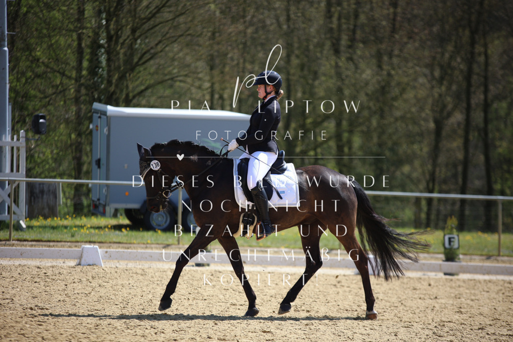 IMGT7297 | pl-fotografie