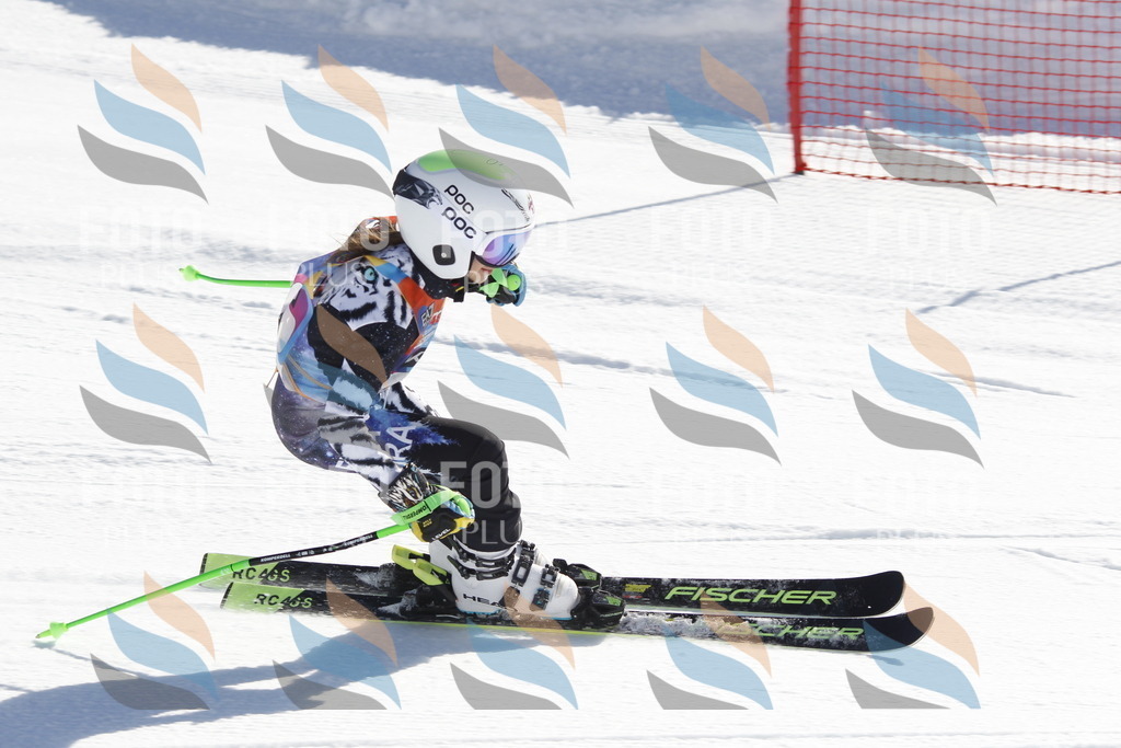 _U3G8469 | holidayphoto