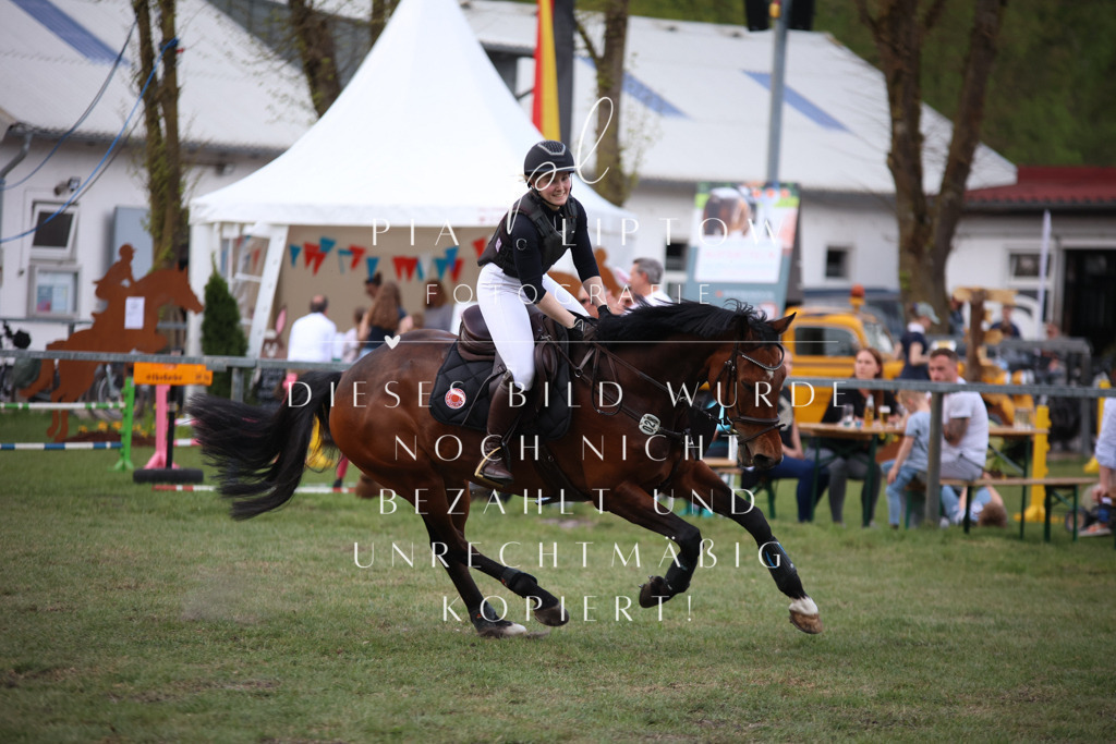 IMGT9505 | pl-fotografie