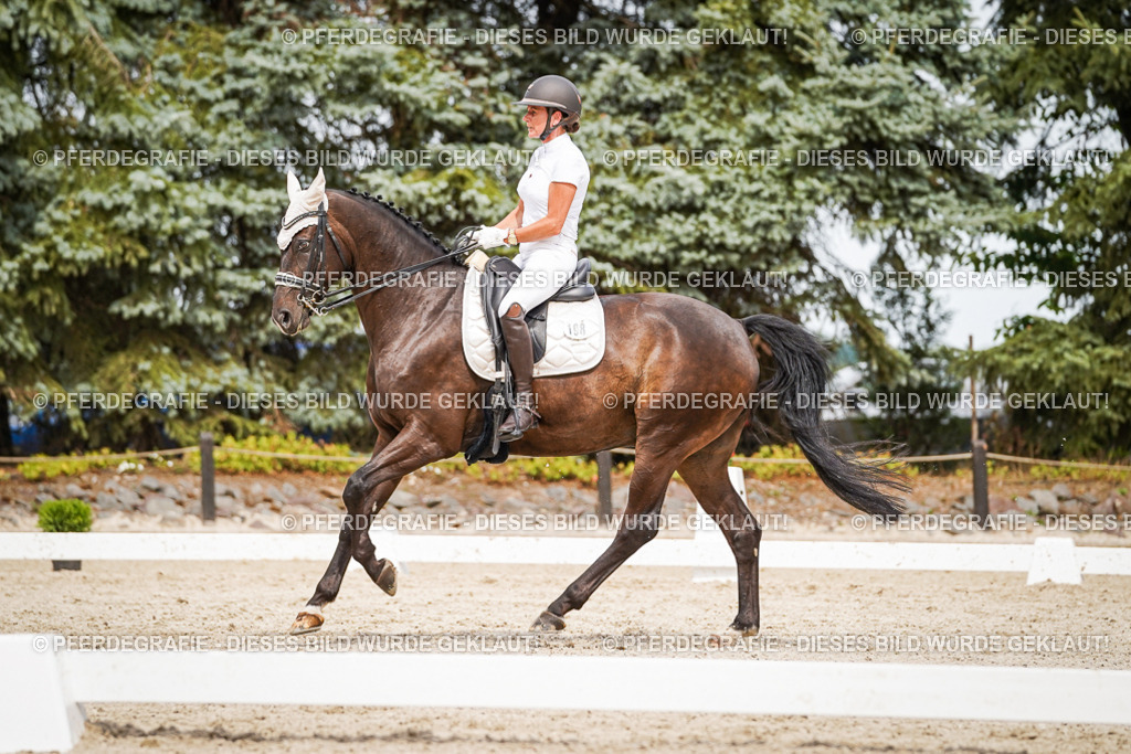 DSC06365 | Pferdegrafie