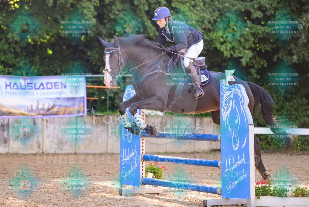 30082026-Giesenbach-Prfg16-0375 | Fokus Hufschlag Fotografie - Realisiert mit Pictrs.com
