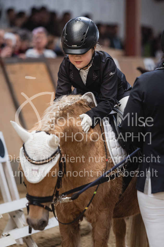 230319_HF-Schwm_Führzügel-226 | Herford-Schwarzenmoor, Dressurtag 2023, Führzügel-WB