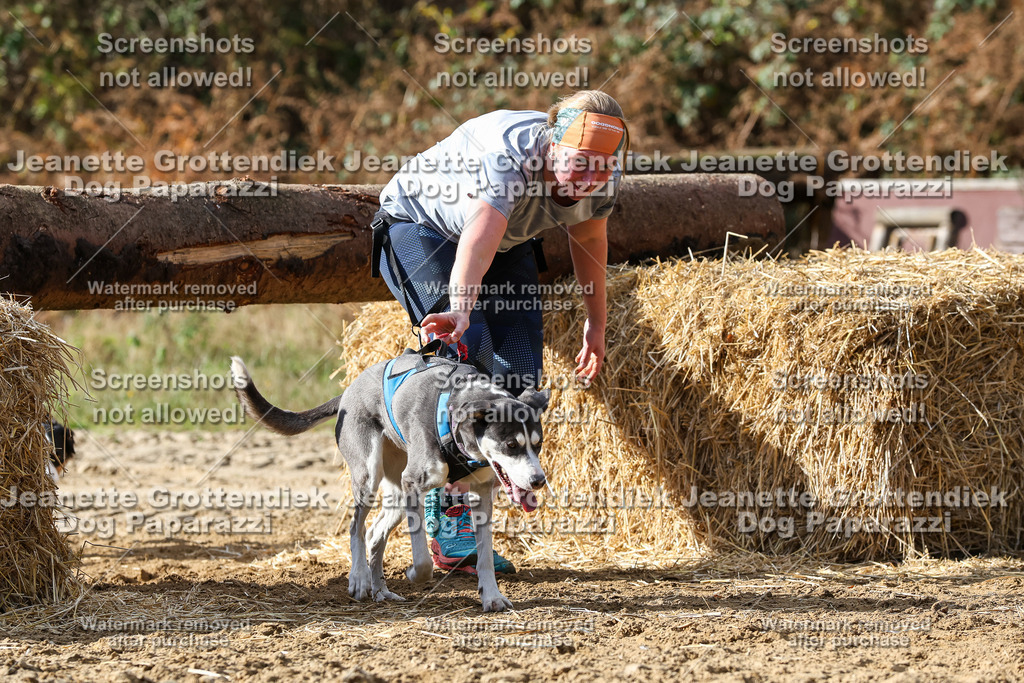 Dog Paparazzi - Strongdog 10-25-5055 | Dog Paparazzi Jeanette Grottendiek Fotografie & Videografie - Realisiert mit Pictrs.com
