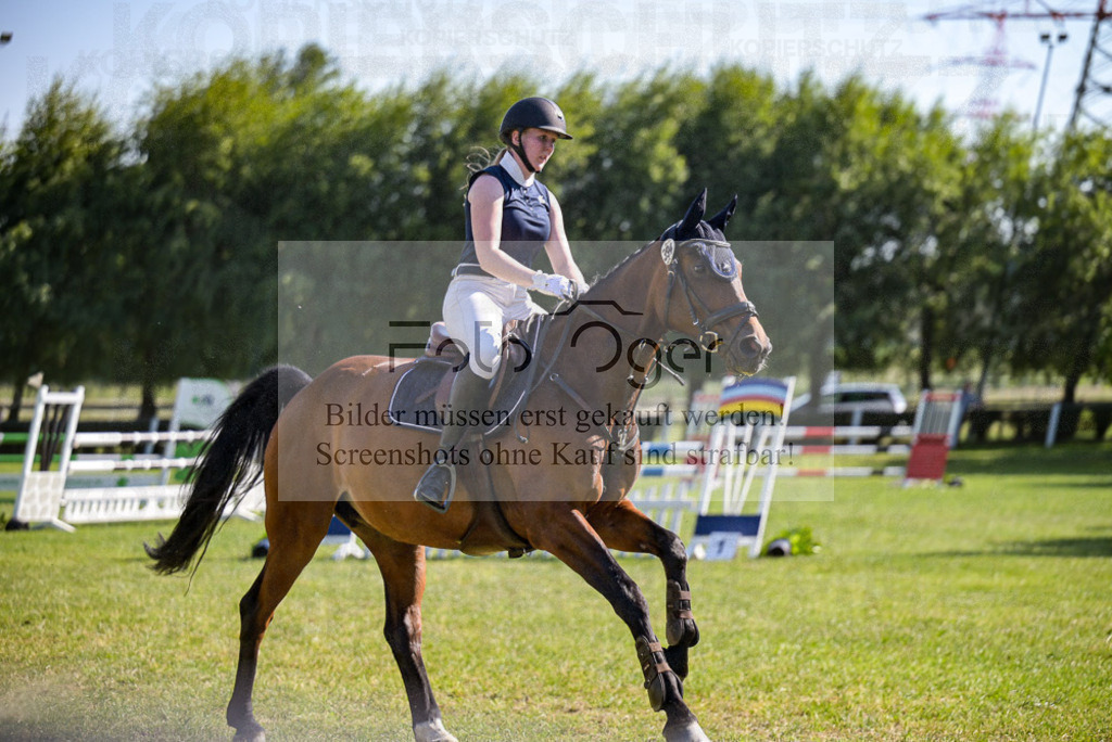 Reitturnier Voxtrup | Entdecke hochwertige Reitturnierfotos von Foto Oger. Professionell, emotional und authentisch – jetzt Lieblingsmomente im Shop bestellen.Deutschlandweite Turnierfotografie. - Realisiert mit Pictrs.com