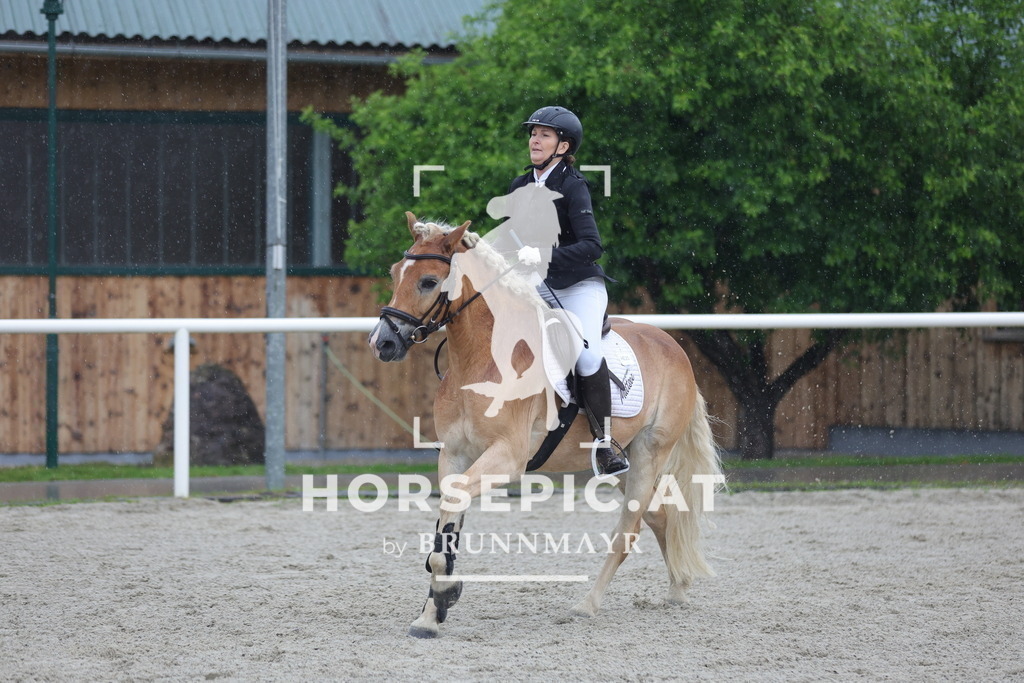 0P6A7754 | Willkommen bei Brunnmayr - Design & Fotografie – Ihrem Spezialisten für Reitturniere und Pferdeveranstaltungen in Oberösterreich, Salzburg und Bayern! Seit über 17 Jahren sind wir leidenschaftlich dabei.