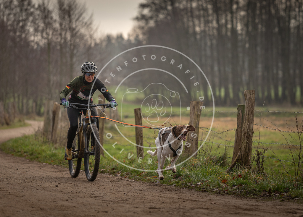 Pfotenfotografie_DV3A1805 | Hundefotografie, Tierfotograf, Pfotenfotografie, Fotoshooting Hund, Hunde Portrait, Hundesport, Hundeportraits, Heideshooting, Hunde, Sportfotograf, Hundefotograf, Turnierhundsport, THS,  - Realisiert mit Pictrs.com
