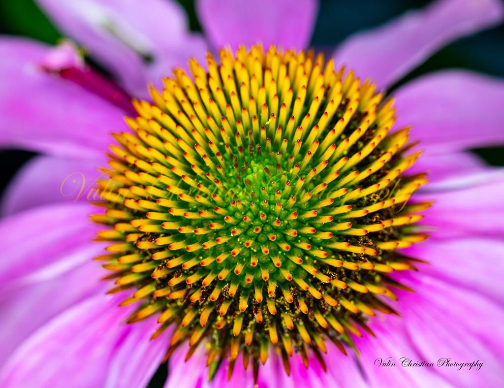 ULMA 19 | Christian Vulin  - Realisiert mit Pictrs.com