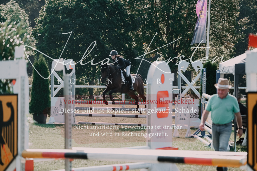 DSC_4695 | Pferde- und Turnierfotografie in Westsachsen. Pferdeportraits, Auftragszeichnungen und intuitive Kunst.