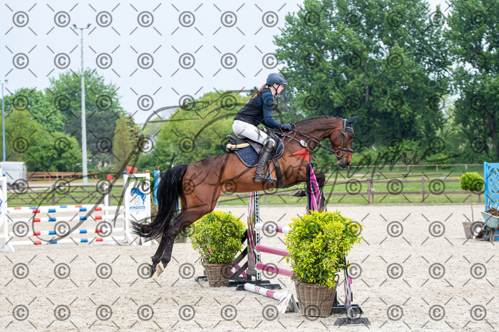 KPT_2748 | andre_photographic