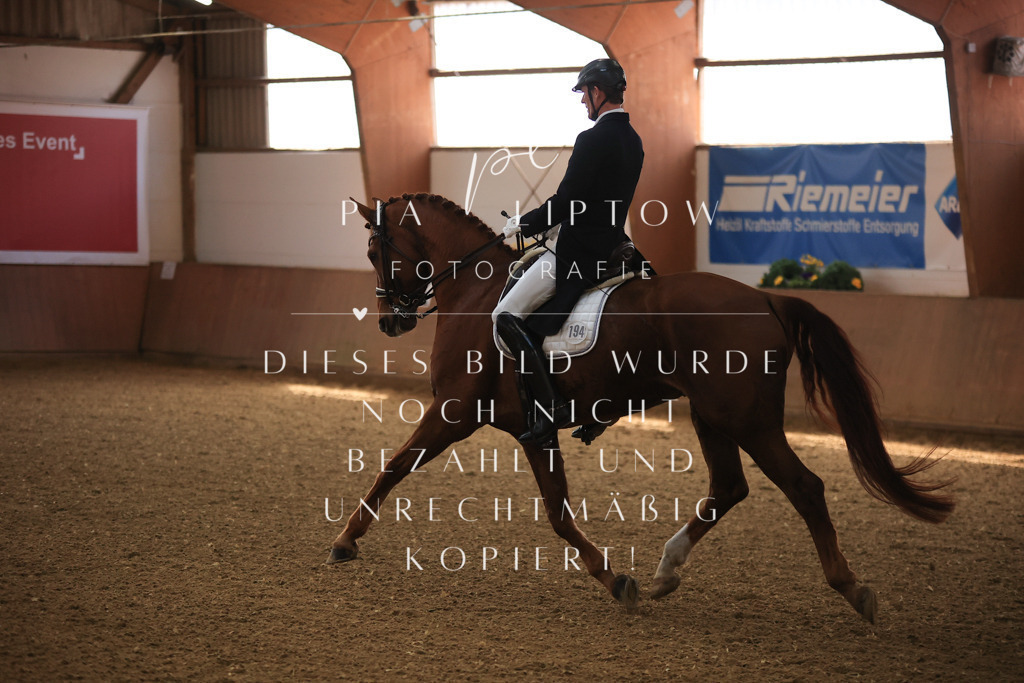 IMGT4174 | pl-fotografie