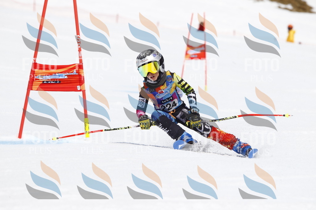 _U3G5785 | holidayphoto