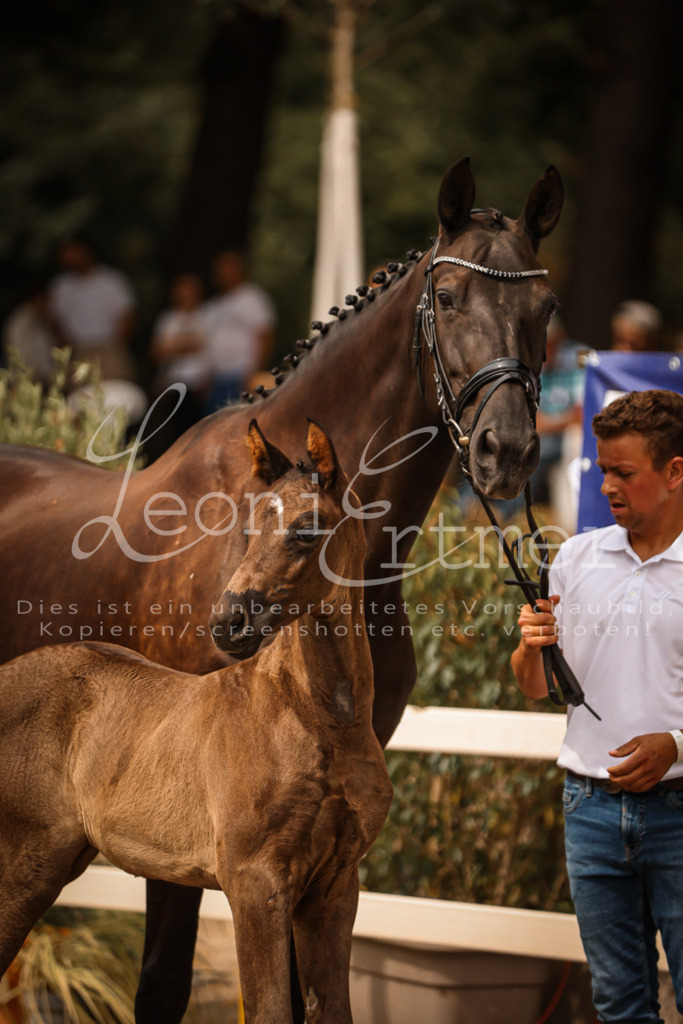 SaPA00061 | Leoni Ertmer Photography - Realisiert mit Pictrs.com