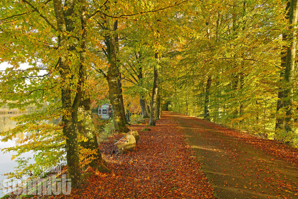 Langwuhr-Weiher im Herbst bei Immenried im Allgäu | Der Langwuhr-Weiher bei Immenried zeigt sich im Herbst von seiner besonders stimmungsvollen Seite. Die bunt gefärbten Bäume rund um den Weiher verleihen der Landschaft eine besondere Atmosphäre. - Realisiert mit Pictrs.com