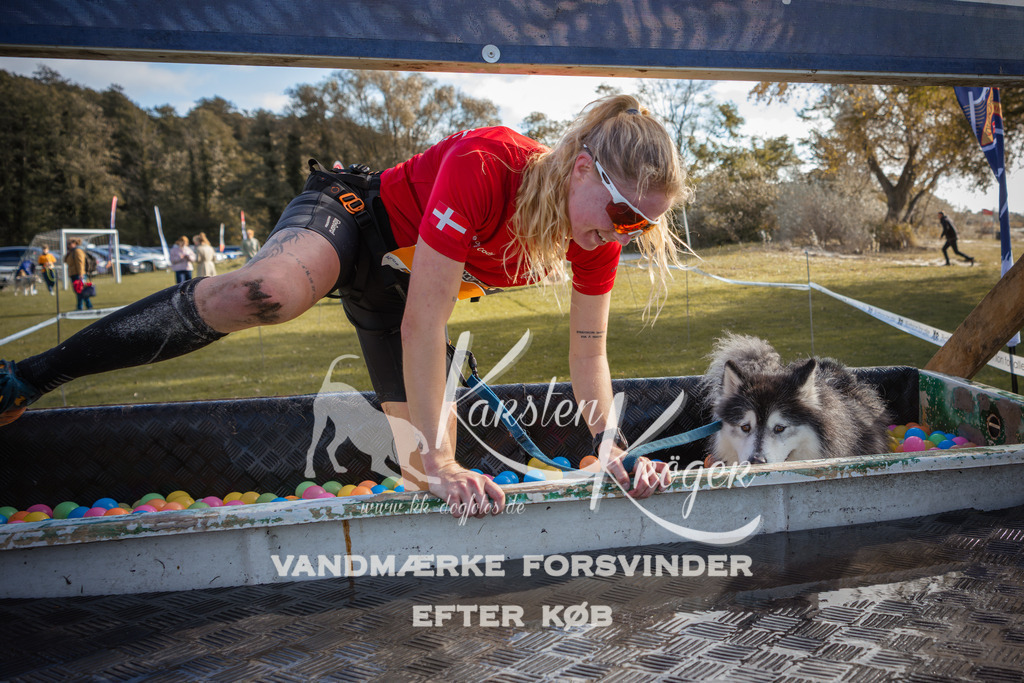 1311_ZZ99606-2 | kk-dogfotos