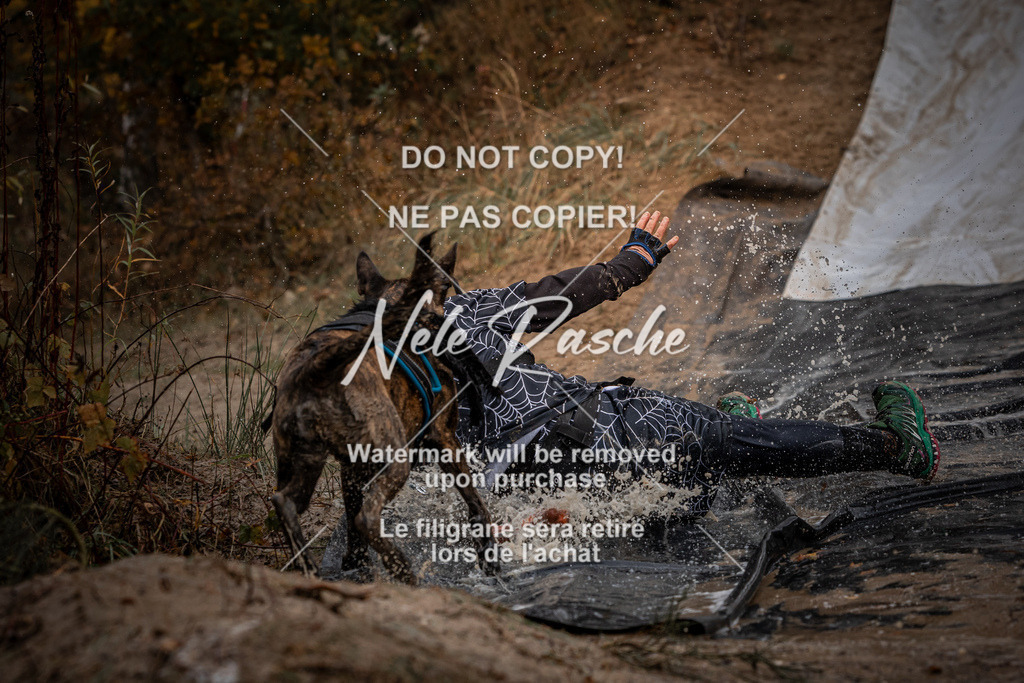 nelerasche_Creepy2025_So1100-1130_202 | nelerasche