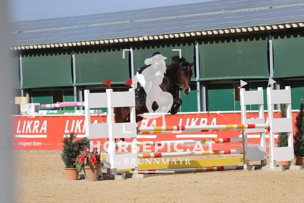 DL2Q5203 | Willkommen bei Brunnmayr - Design & Fotografie – Ihrem Spezialisten für Reitturniere und Pferdeveranstaltungen in Oberösterreich, Salzburg und Bayern! Seit über 17 Jahren sind wir leidenschaftlich dabei.