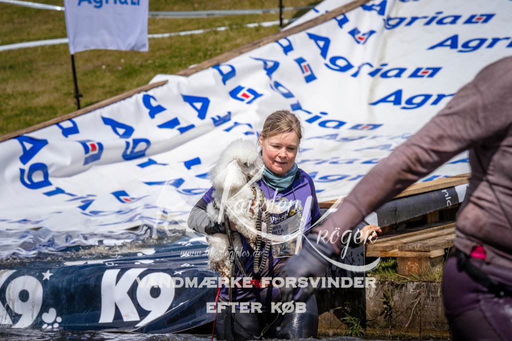 _ZZ970561022 | kk-dogfotos