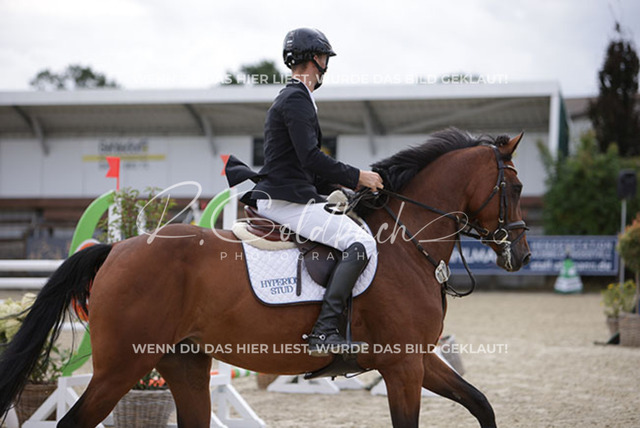 1J2A0170Alexander Liebe_ Nordic Dream HS_ Kn798_ Havekost | Foto- und Videografie für alles rund ums Pferd. Hochwertige Bilder und Videos vom Spring- und Dressurreiten, Voltigieren & mehr. Jetzt aktuelle Veranstaltungen und Preise im Shop ansehen. - Realisiert mit Pictrs.com