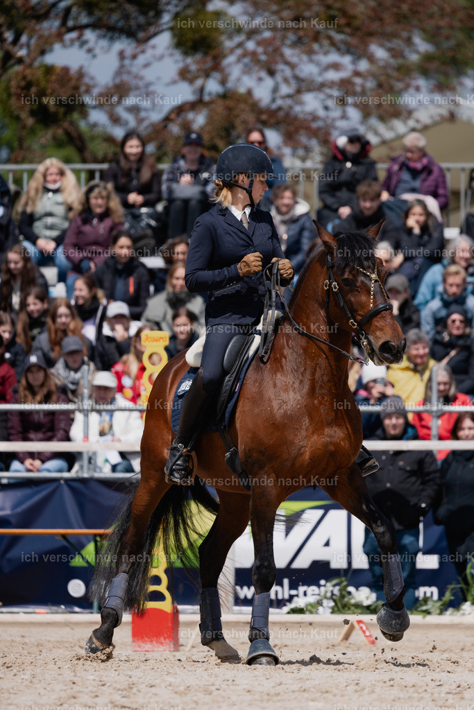 PI26_SP_StoibphotographyC2_C3266.CR3 | working equitationturnier fotograf videograf stoibphotography marixx film working equitation deutschland reitsport turnierfotografie eventfotografie equestrian events
