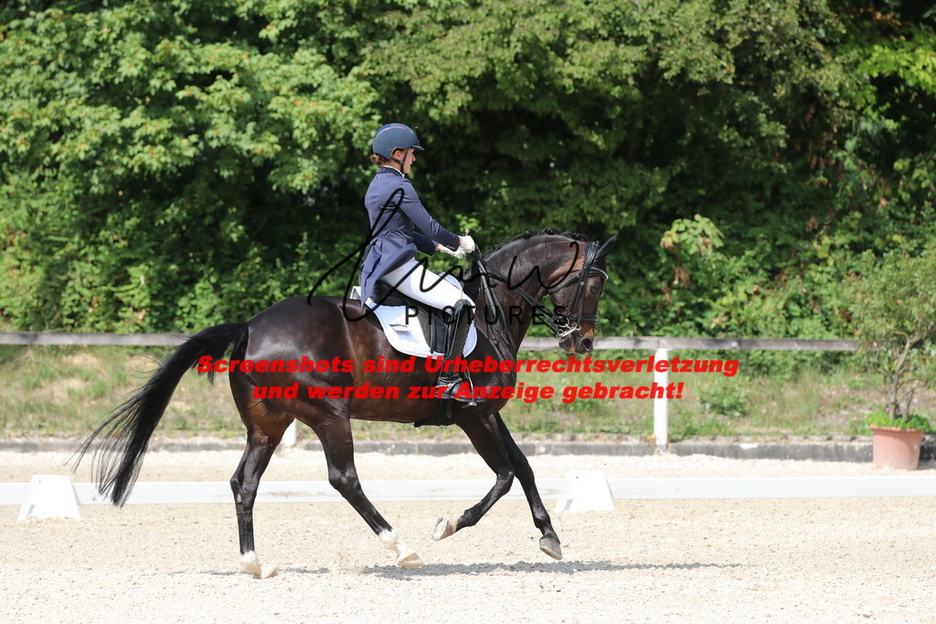 IMG_7186 | lmwpictures - Realisiert mit Pictrs.com