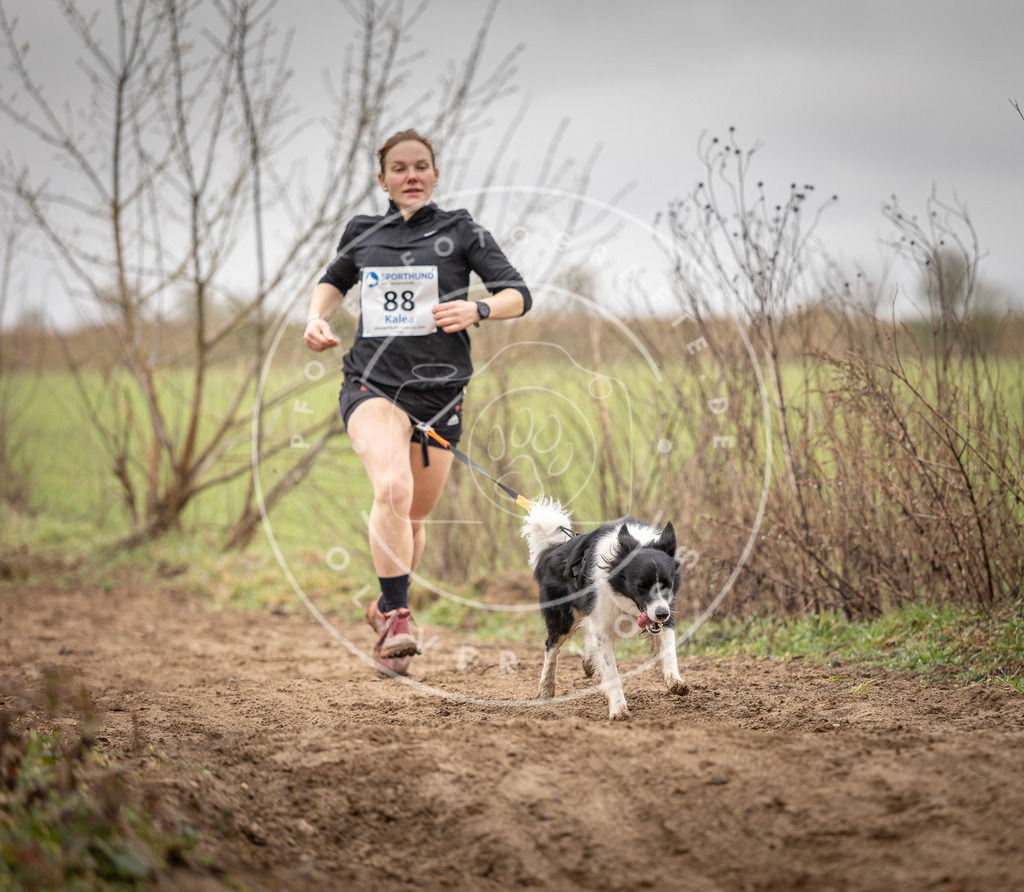 DV3A9952 | Hundefotografie, Tierfotograf, Pfotenfotografie, Fotoshooting Hund, Hunde Portrait, Hundesport, Hundeportraits, Heideshooting, Hunde, Sportfotograf, Hundefotograf, Turnierhundsport, THS,  - Realisiert mit Pictrs.com