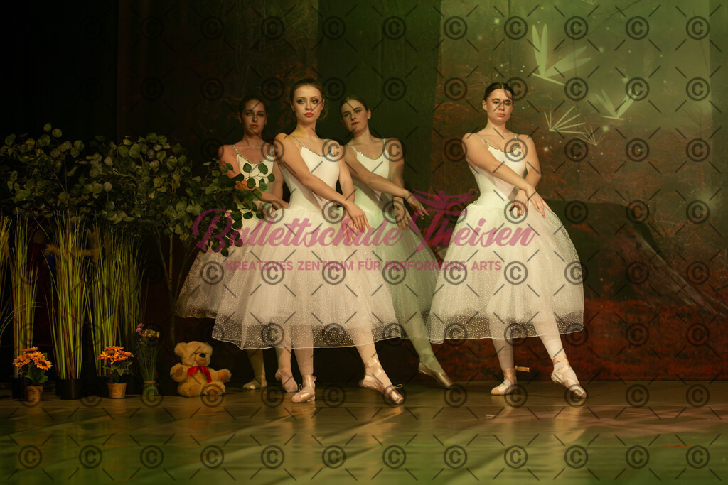 Ballettaufführung-1364 | Bildershop Lem'n Entertainment - Realisiert mit Pictrs.com