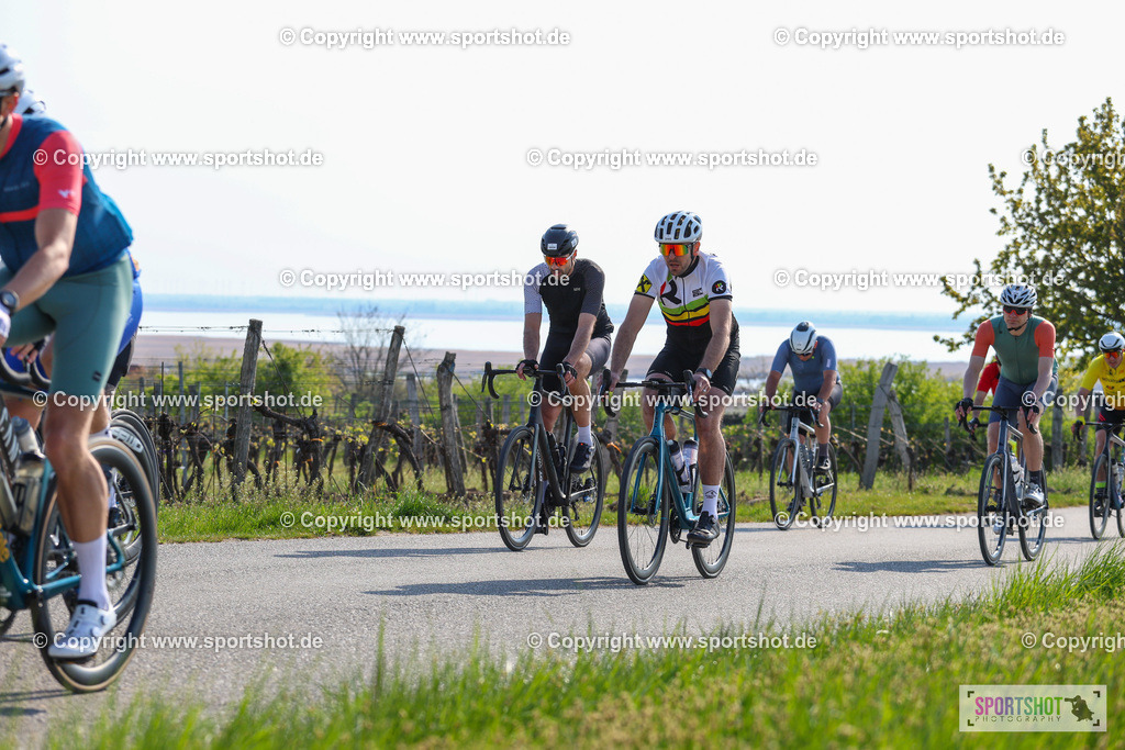 IMG_1020 | @sportshot_your_pictrs #yourpictures#roadtowm2029 #nrm #neusiedlerseeradmarathon #neusiedlersee #neusiedlerseetourismus #burgenland #mörbisch #nrm26 #burgenlandtourismus #voglundco #poweredbyburgenlandtourismus #radsport #rad #marathon #ucigranfondo #visitburgenland #ucigranfondoworldseries