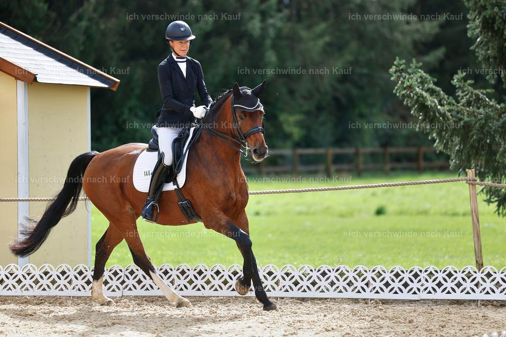 05-146-DRESSUR M_  -StoibPH-4945 | working equitationturnier fotograf videograf stoibphotography marixx film working equitation deutschland reitsport turnierfotografie eventfotografie equestrian events