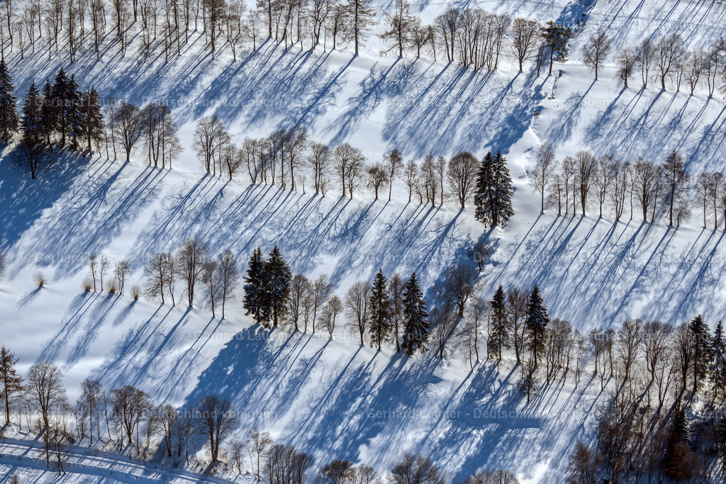 4043647 | winterliche Baumstrukturen im Rothaargebirge bei Winterberg