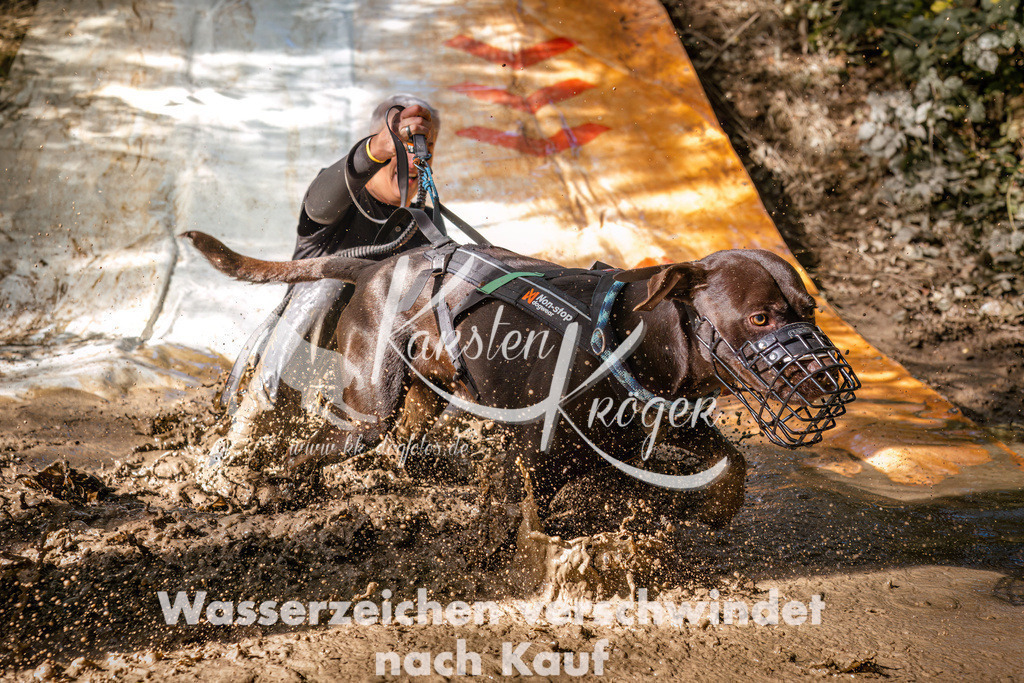 1349_ZZ92636 | kk-dogfotos