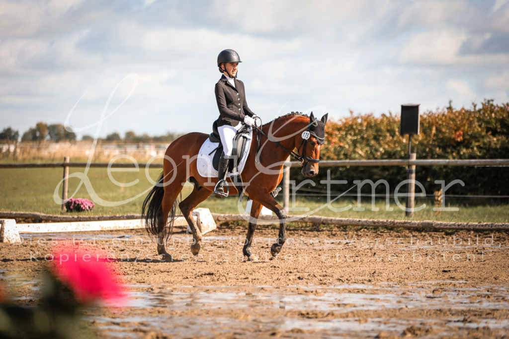 07.SoDrE00292 | Leoni Ertmer Photography - Realisiert mit Pictrs.com