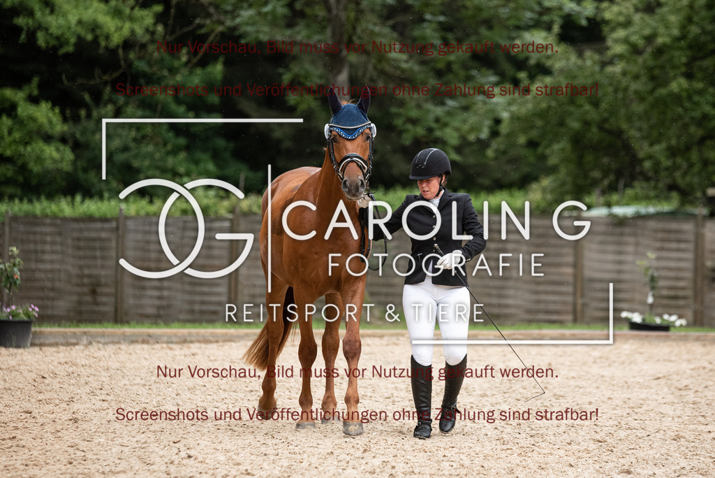 DSC_3234 | Turnierfotografin Carolin Gieschke,Reitsport Turnierfotografie Carolin G Fotografie | Turnierfotos aus Kirchheim/Teck, Esslingen, Stuttgart und dem Bodenseekreis