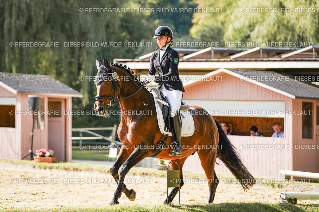 DSC07262 | Pferdegrafie