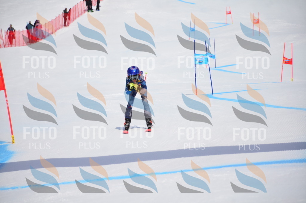 VR4_7121 | holidayphoto