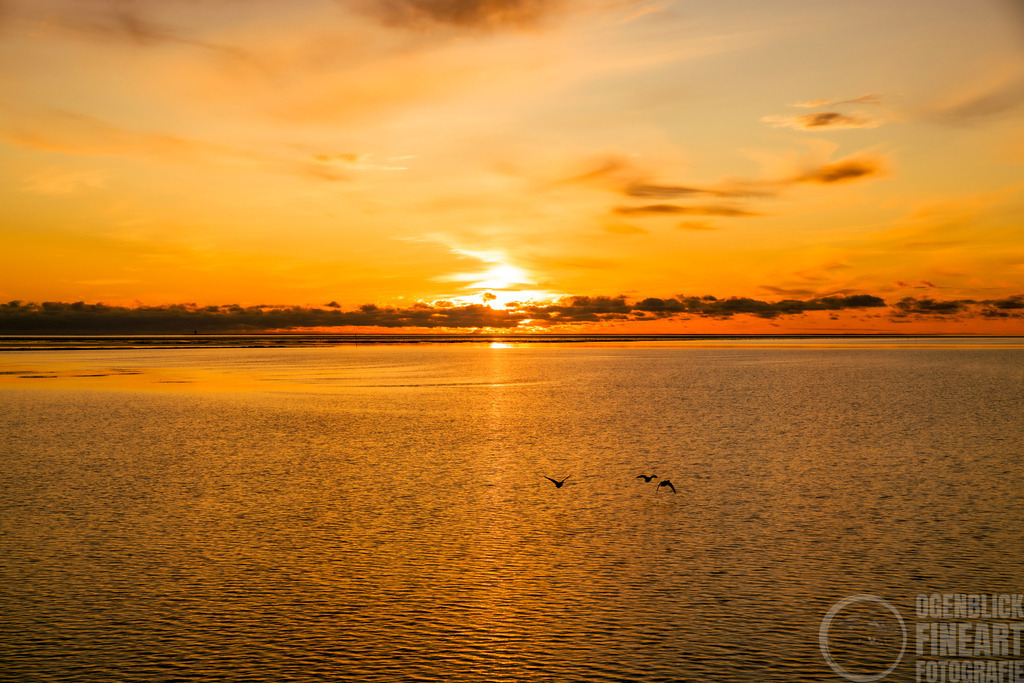 DSC08011 | Björn Thiemann; Ogenblick.de; Fotografie; Photograph; Landscape, Pellworm, Schleswig-Holstein; Inselfotograf; Inselfotografien; Wattenmeer; National-Park; Naturschutzgebiet; Leuchtturm; Lighthouse; Leinwandbilder; Kalender; Pellworm Kalender;  - Realisiert mit Pictrs.com