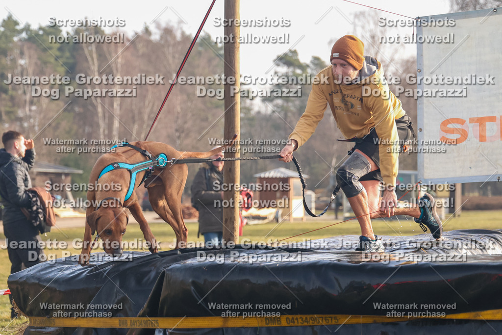 Dog Paparazzi - SD North 0326 900930-281 | Dog Paparazzi Jeanette Grottendiek Fotografie & Videografie - Realisiert mit Pictrs.com