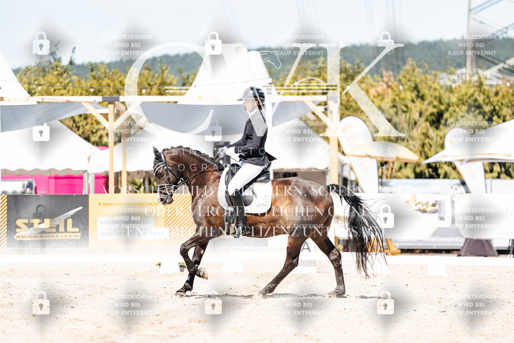 CK909655 | Turnierfotografie Pferdefotografie Trier Rheinland-Pfalz Pferdesport Reitsport Tierfotografie Sportfotografie Pferdevideo Pferdevideografie Equestrianvideography equestrianphotography  - Realisiert mit Pictrs.com