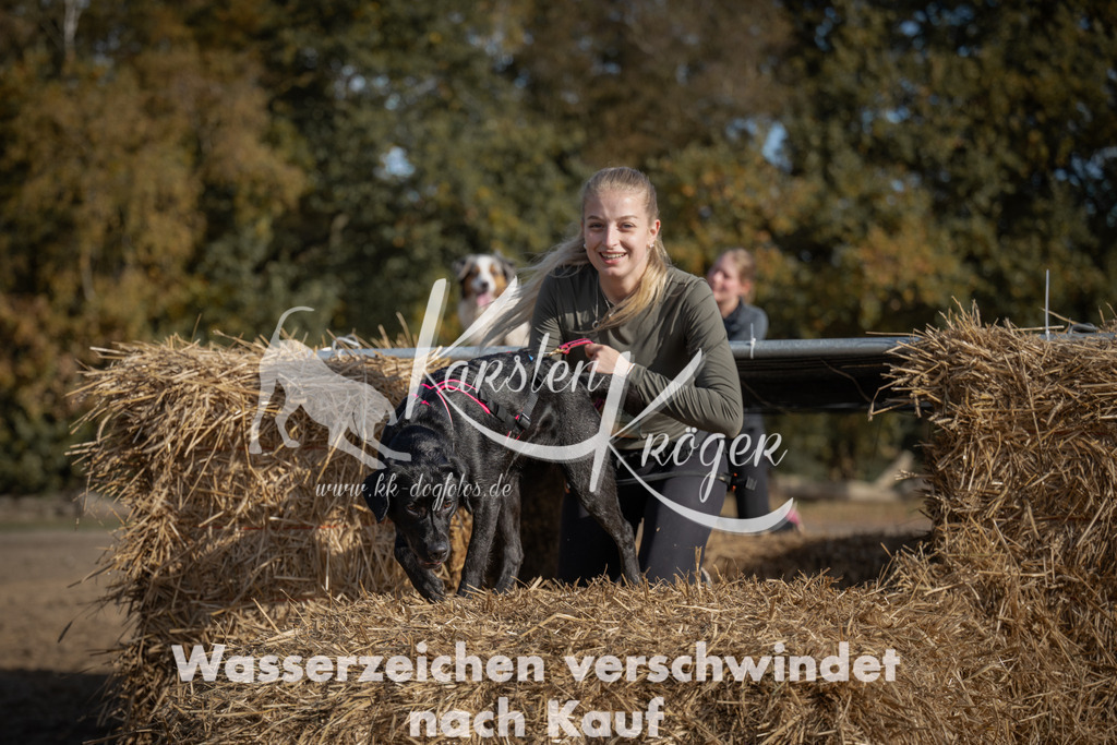 1142_ZZ92575 | kk-dogfotos