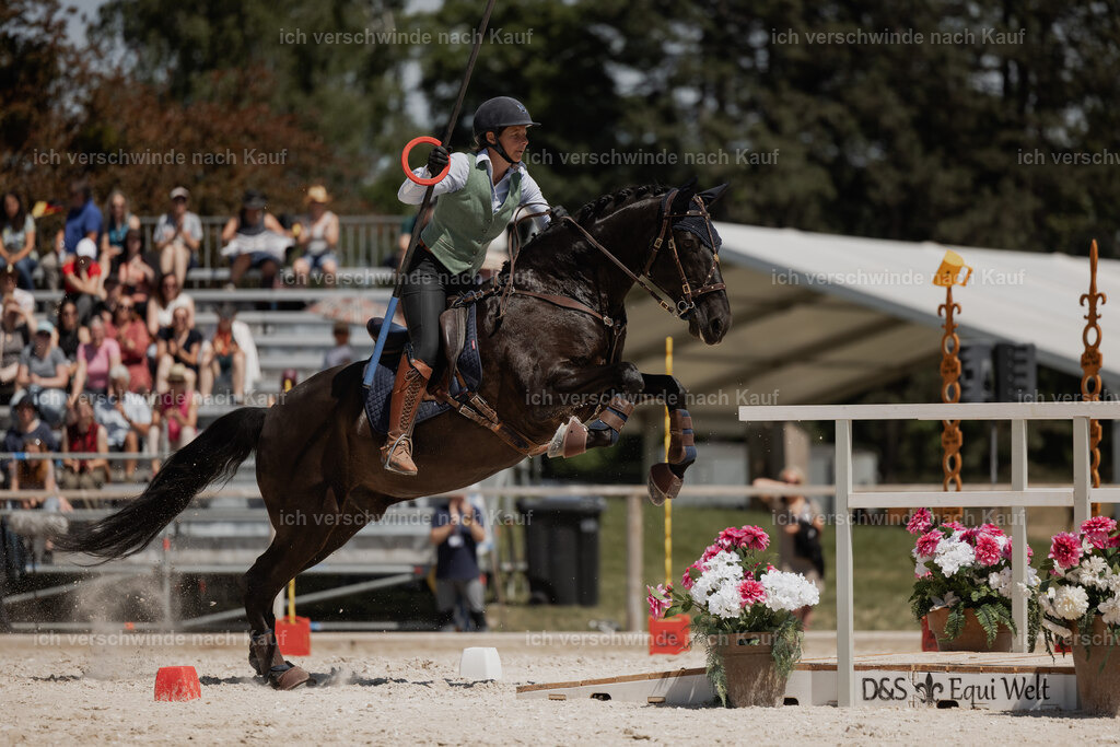 WE_SP_Stoib_315_PI2025_1856 | Pferd International München 2025